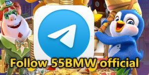 Follow 55BMW official