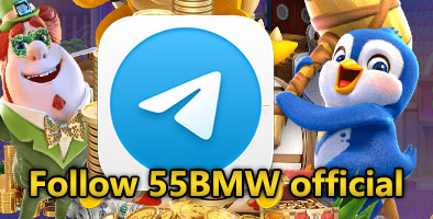 Follow 55BMW official